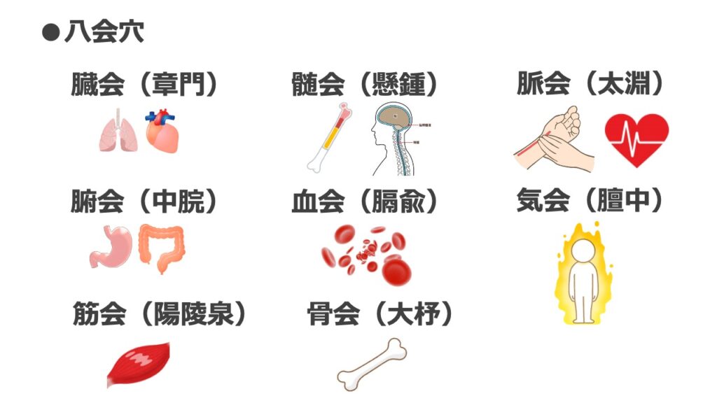 八会穴の画像